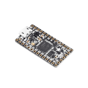 ItsyBitsy M4 Express...